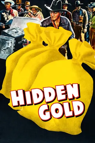 Görsel: TMDB Hidden Gold afişi