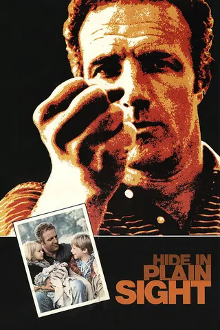 Hide in Plain Sight afişi