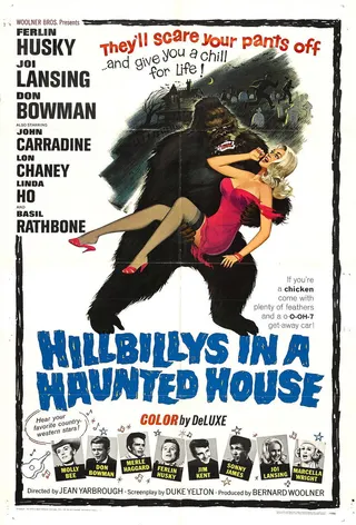 Hillbillys in a Haunted House afişi