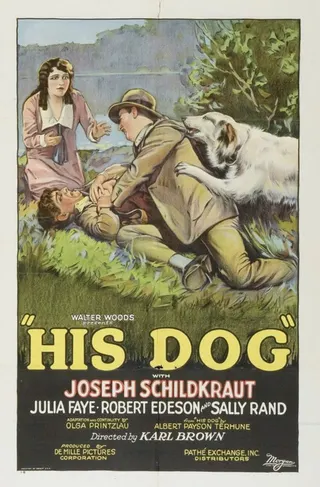 Görsel: TMDB His Dog afişi