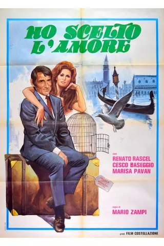 Görsel: TMDB Ho scelto l'amore afişi