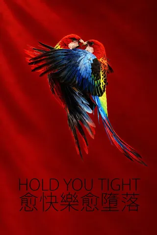 Görsel: TMDB Hold You Tight afişi