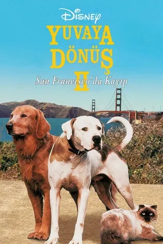 Homeward Bound II: Lost in San Francisco afişi