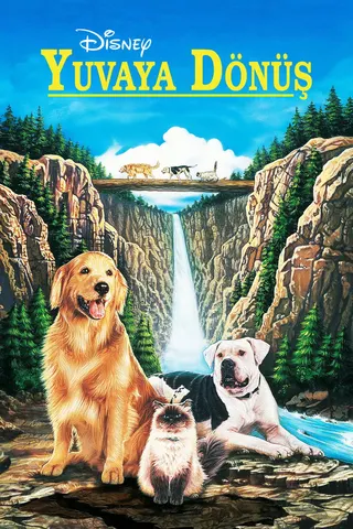 Homeward Bound: The Incredible Journey afişi