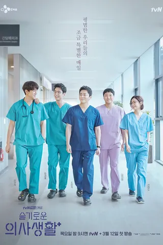 Hospital Playlist afişi