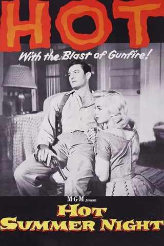 Görsel: TMDB Hot Summer Night afişi