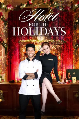 Görsel: TMDB Hotel for the Holidays afişi