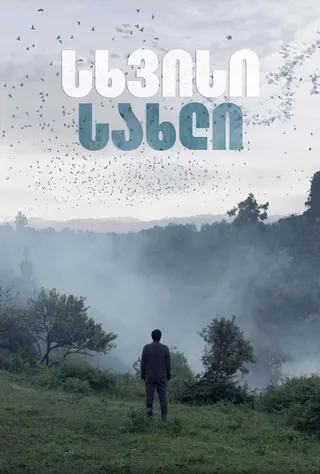 Görsel: TMDB House of Others afişi