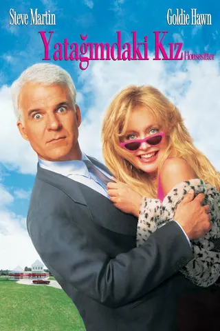Housesitter afişi