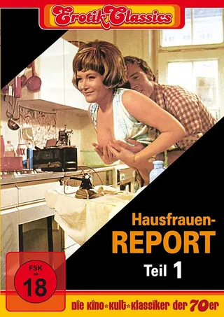 Housewives Report afişi