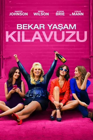 Görsel: TMDB How to Be Single afişi