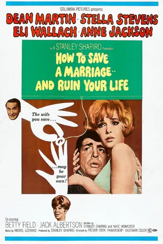 How to Save a Marriage and Ruin Your Life afişi