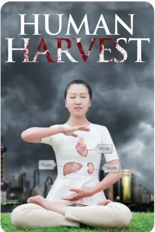Human Harvest afişi