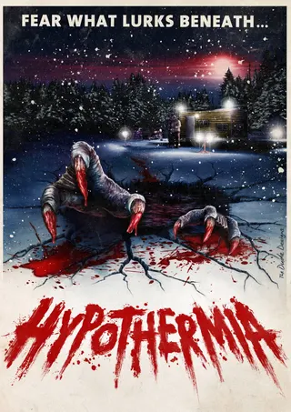 Hypothermia afişi