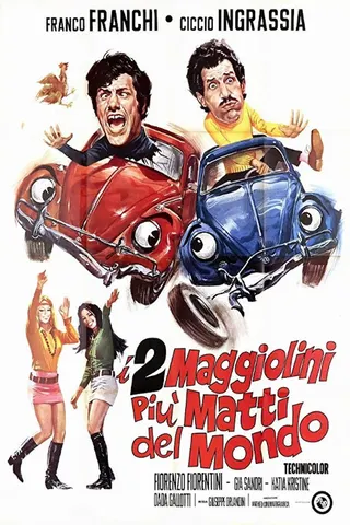 I due maggiolini più matti del mondo afişi