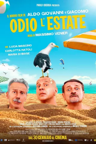 Görsel: TMDB I Hate Summer afişi