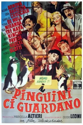 I pinguini ci guardano afişi