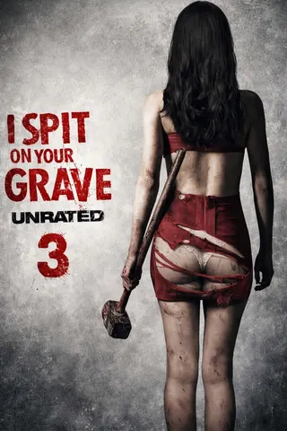 Görsel: TMDB I Spit on Your Grave III: Vengeance is Mine afişi