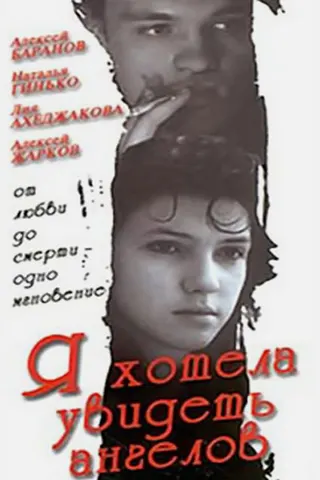 Görsel: TMDB I Wanted to See Angels afişi