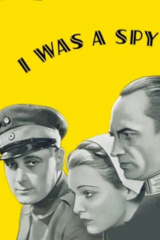 I Was a Spy afişi