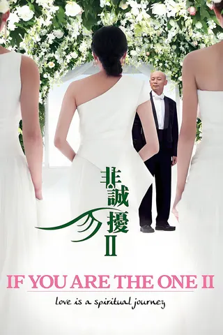 If You Are the One 2 afişi