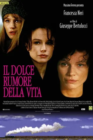 Görsel: TMDB Il dolce rumore della vita afişi