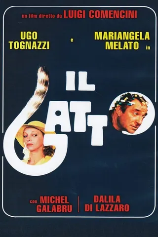 Il gatto afişi