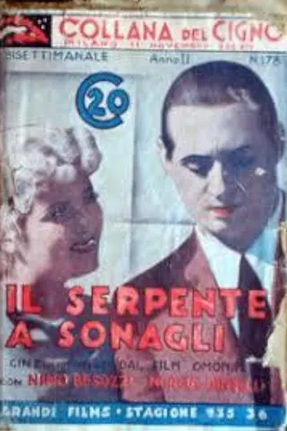 Il serpente a sonagli afişi