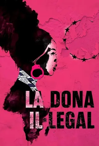 Illegal Woman afişi