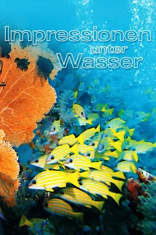 Görsel: TMDB Impressionen unter Wasser afişi