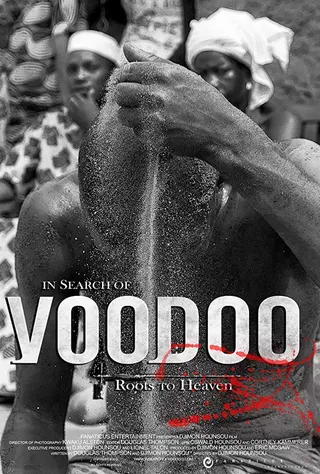 In Search of Voodoo: Roots to Heaven afişi