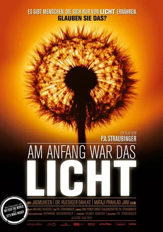 In the Beginning There Was Light afişi