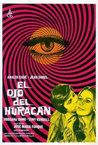 In the Eye of the Hurricane afişi