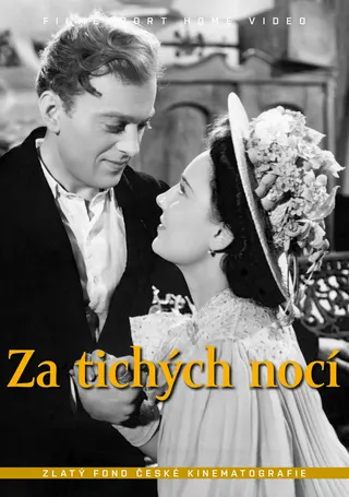 In the Still of the Night afişi