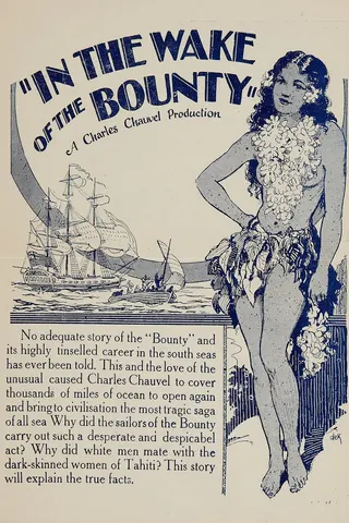 Görsel: TMDB In the Wake of the Bounty afişi