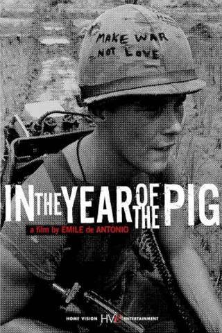 Görsel: TMDB In the Year of the Pig afişi