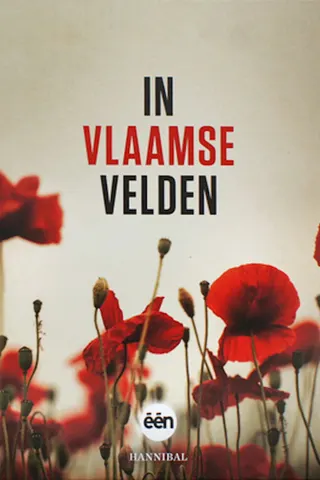 Görsel: TMDB In Vlaamse velden afişi