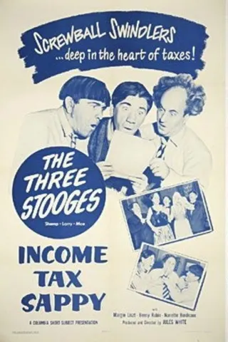 Görsel: TMDB Income Tax Sappy afişi
