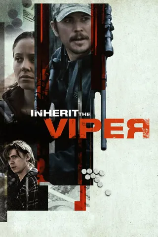 Görsel: TMDB Inherit the Viper afişi