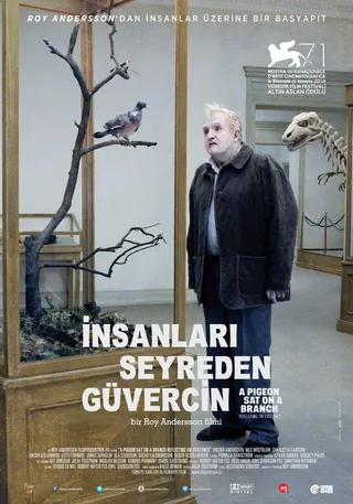 Görsel: TMDB İnsanları Seyreden Güvercin afişi
