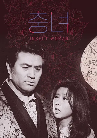 Görsel: TMDB Insect Woman afişi