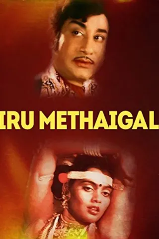 Görsel: TMDB Iru Medhaigal afişi
