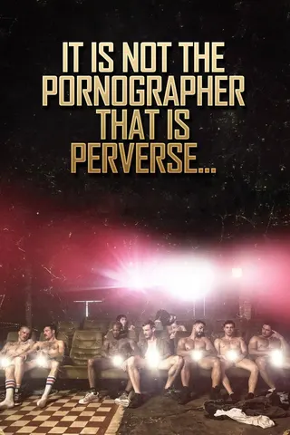 It is Not the Pornographer That is Perverse... afişi