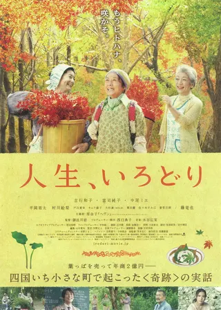 Görsel: TMDB It's a Beautiful Life - IRODORI afişi