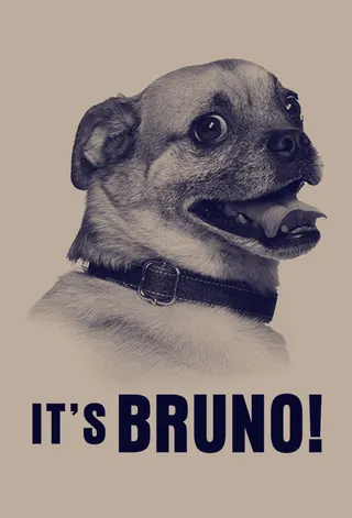 It's Bruno! afişi