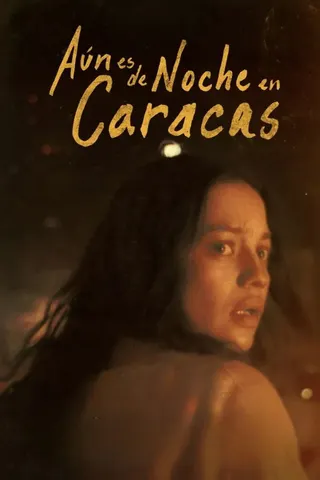 It Would Be Night in Caracas afişi