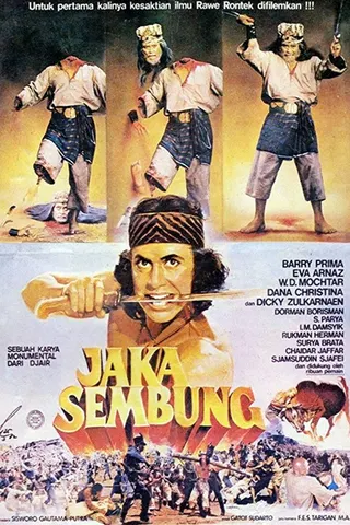 Görsel: TMDB Jaka Sembung afişi