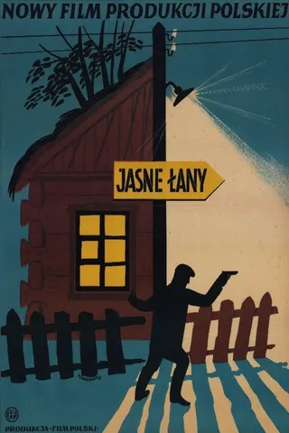 Jasne łany afişi