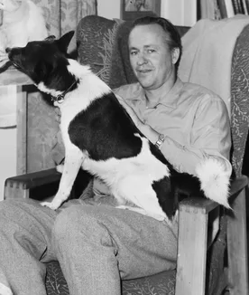 Görsel: Rigmor Dahl Delphin / CC BY-SA Jens Bolling