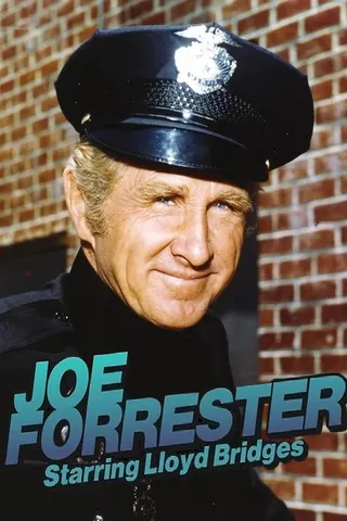 Görsel: TMDB Joe Forrester afişi
